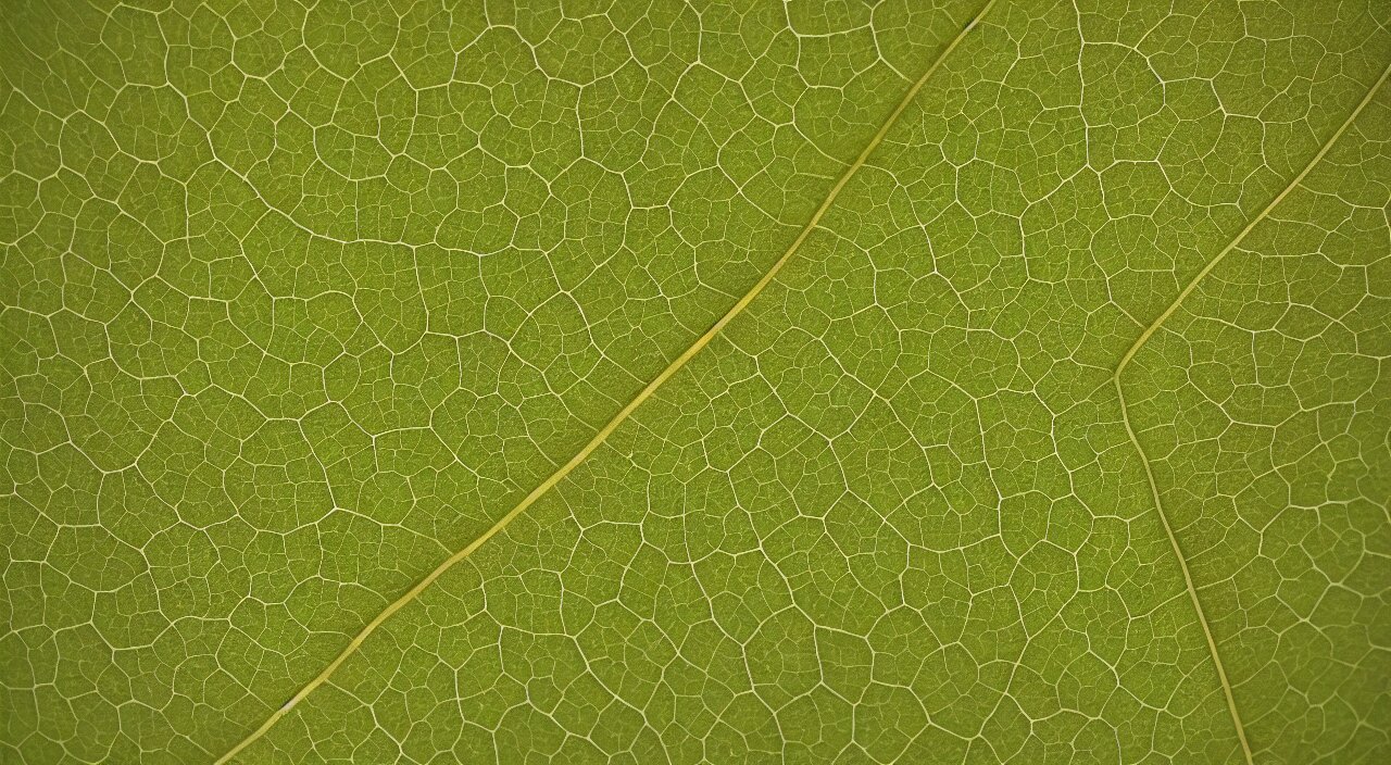 Nature recaps 