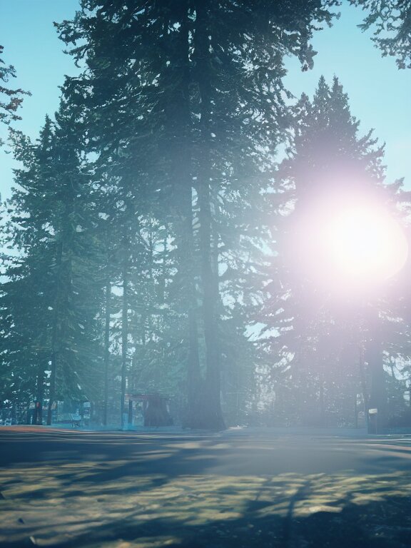 sunny forest